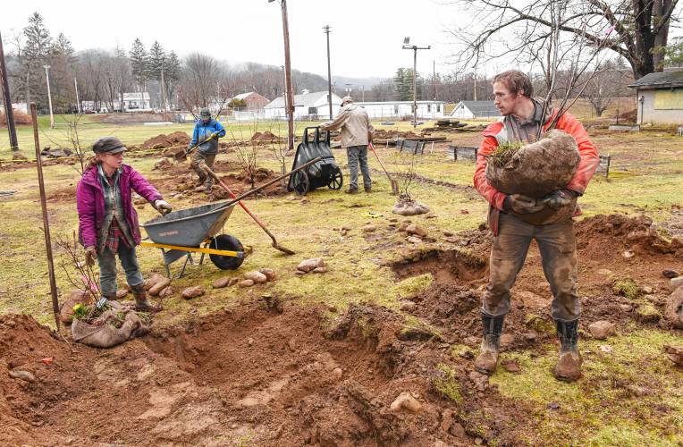 Project designer Kay Cafasso Parker, left, of Shelburne Falls and Noel Anderson, right, of Ashfield, replant trees in a small orchard and garden being created at Veterans’ Field in Buckland.