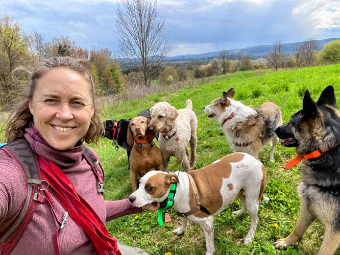 When Margot Van Natta puts a pack together for an outing with Hiking Paws, the business she founded, she takes into consideration a diversity of breeds, ages and genders. She says too many puppies leads to chaos.