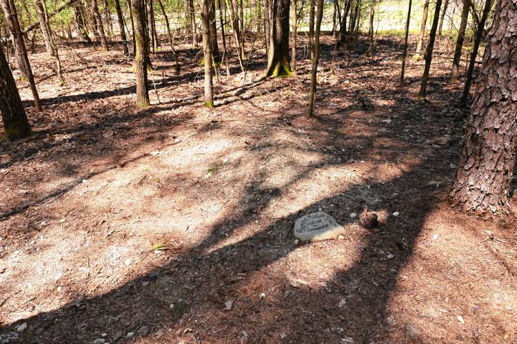 The first grave marked by a flat natural stone at Highland Woods Natural Burial Ground at the rear of Highland Cemetery off Millers Falls Road. 
