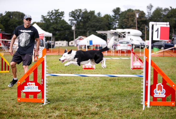Elsie, a border collie, bounds over a jump guided by Lawrence Kelly during the United States Dog Agility Association’s (USDAA) Dog Agility Trial at the Franklin County Fairgrounds in Greenfield in 2018.