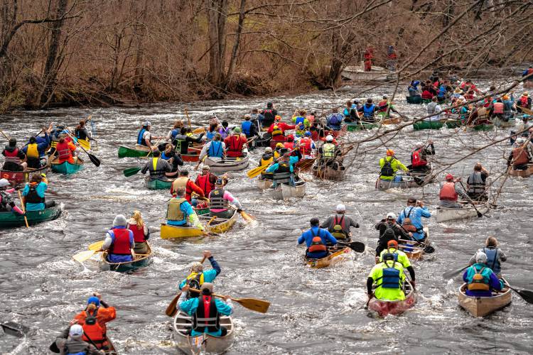 Nearly 180 canoes participated in the 59th running of the River Rat Race from Athol to Orange on Saturday.