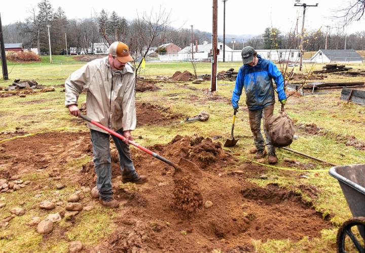 Mike Walker and Chris Dean of Southampton replant trees in a small orchard and garden being created at Veterans’ Field in Buckland.