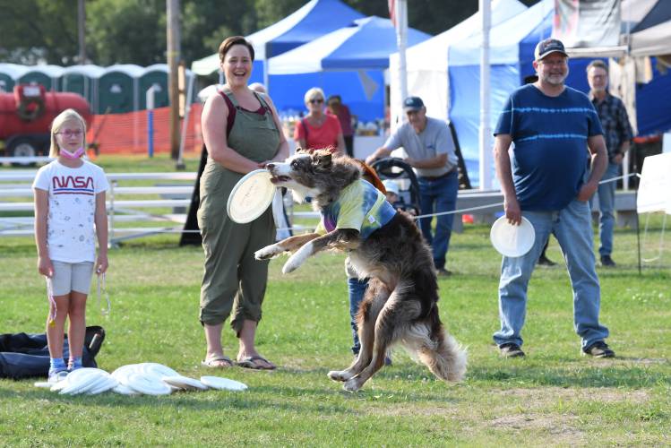 The Flying High Dogs catch Frisbees at the 2022 Franklin County Fair in Greenfield. The 174th annual fair will be held Thursday through Sunday.