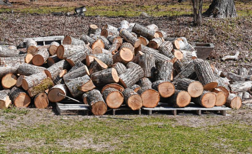A pile of firewood waiting to be split. The Wendell Wood Bank spent a $10,000 federal grant on safety equipment, chainsaws, log splitters, a storage shed and other items to help meet the heating needs of households struggling to keep warm.