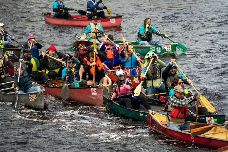 Canoeists make their way down the Millers River for the 59th running of the River Rat Race on Saturday.