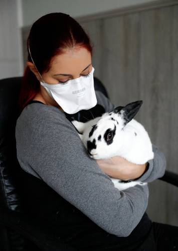 Western Mass Rabbit Rescue President Jordana Starr holds Titania.
