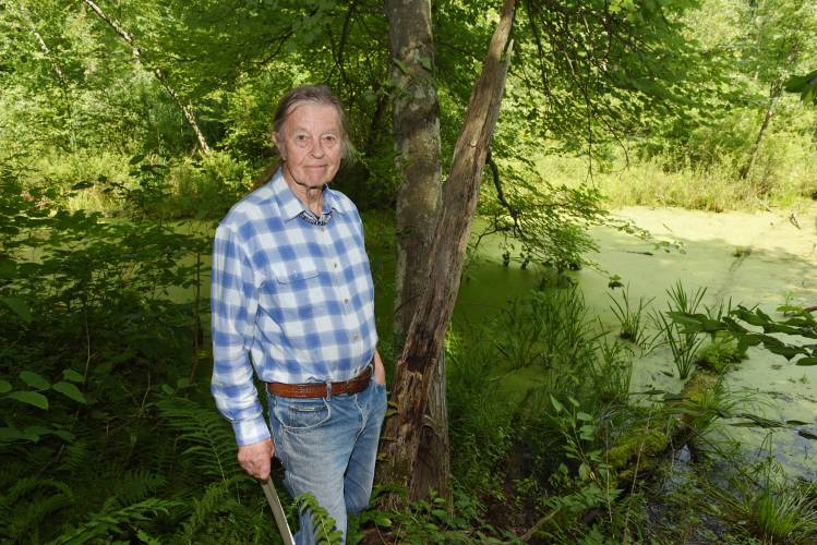 Nolumbeka Project President David Brule, pictured in White Ash Swamp in Greenfield in July 2023, will speak on “King Philip’s War in Your Backyard,” as well as provide updates on the latest findings of the National Park Service’s study of the Great Falls Massacre and counterattack, at the Bernardston Senior Center on Monday, April 8, at 3 p.m.