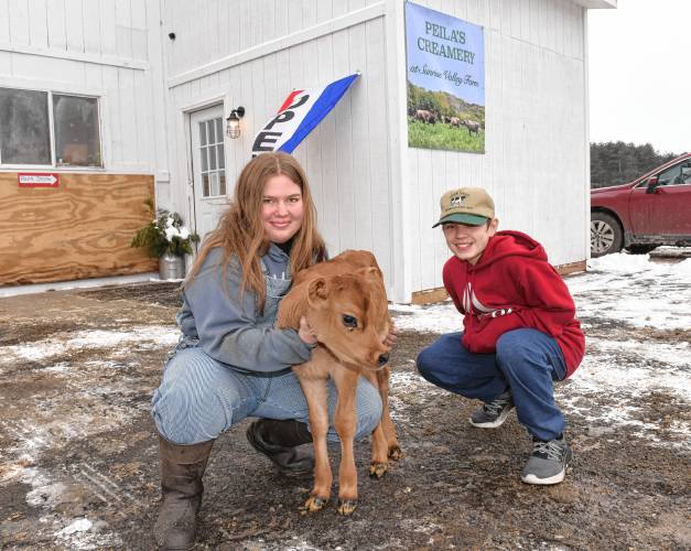 Samantha Peila, 18, and her brother Ben Peila, 13, with a Jersey calf named Midge at Peila’s Creamery farm store at Sunrise Valley Farm in Gill.