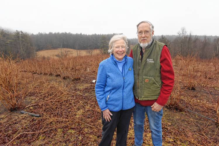 Susan and Larry Flaccus on their property at Kenburn Orchards in Shelburne.