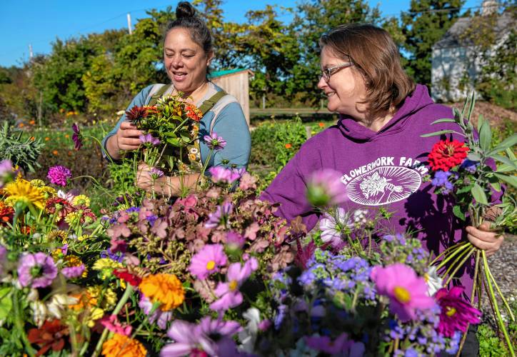 Suna Turgay and Stacia Potter, co-owners of Flowerwork Farm, make bouquets after harvesting the flowers in fields in Florence on Oct. 13.