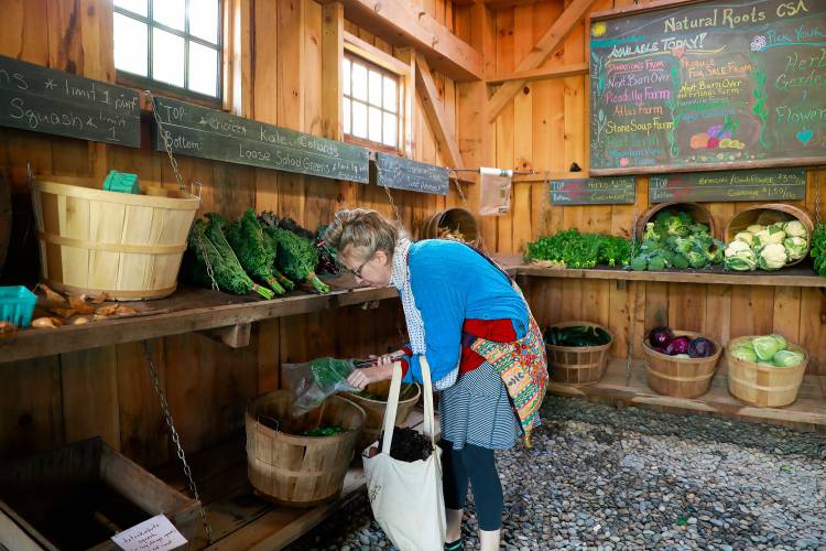 Lauren Iveson of Shelburne Falls picks up produce from the Natural Roots CSA in Conway. 