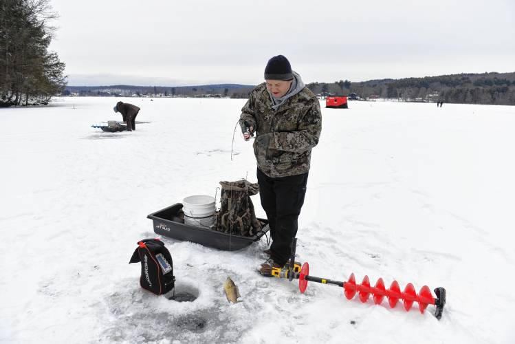 Westfield resident Peter Mokan lands a bluegill while ice fishing on Barton Cove in Gill on Friday.