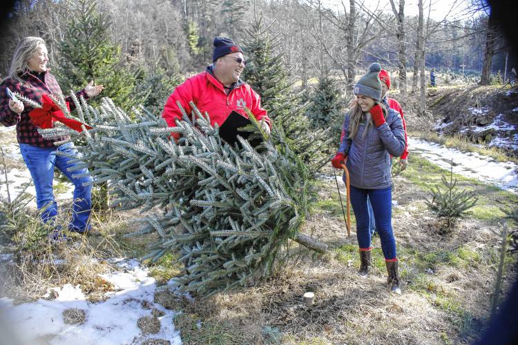 Cranston’s Tree Farm co-owner Seth Cranston lifts up a Christmas tree that Massachusetts Department of Agricultural Resources Commissioner Ashley Randle cut down, while state Rep. Natalie Blais, left, looks on. The tree will be donated to a local family in need.