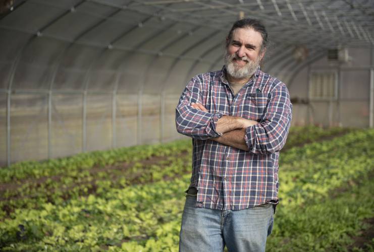 Jeremy Barker Plotkin, co-owner of Simple Gifts Farm in Amherst, in one of the greenhouses where they grow a lettuce mix.