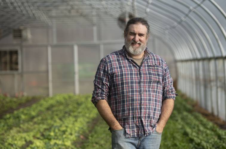 Jeremy Barker Plotkin, co-owner of Simple Gifts Farm in Amherst, in one of the greenhouses where they grow a lettuce mix. 