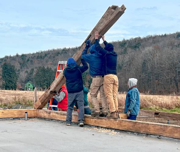 The Cruckfather LLC crew raises the first beam of the historic barn at the Wilder Homestead on Route 112 in Buckland.