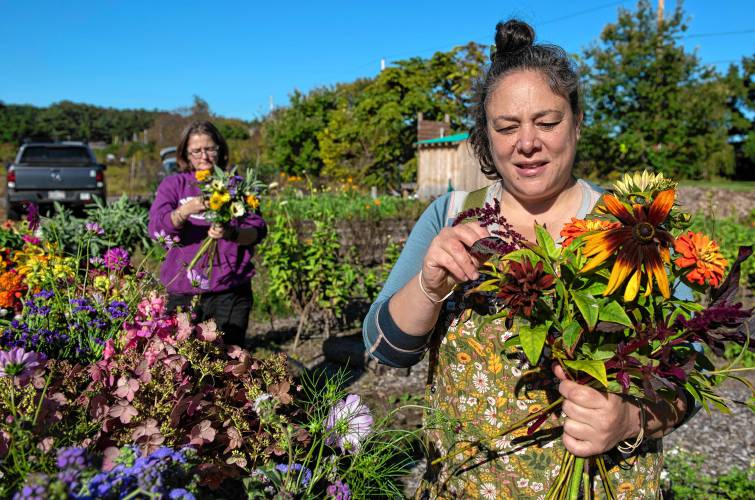 Stacia Potter and Suna Turgay, co-owners of Flowerwork Farm, make bouquets after harvesting the flowers in fields in Florence on Oct. 13.