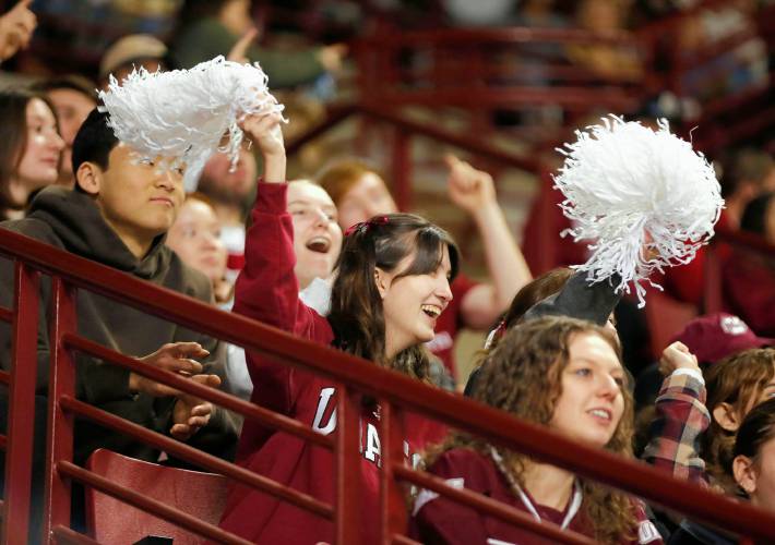 UMass fans cheer in the second period against Boston College on Friday night at the Mullins Center.