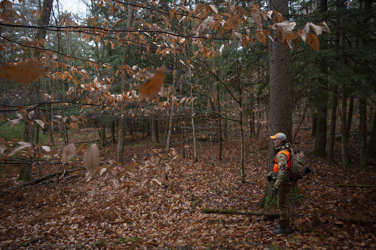 Martin Philip, of White River Junction, Vt., pauses to listen while hunting deer on a friend’s property in Norwich, Vt., earlier this month.