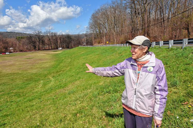 Nancy Hazard, a member of Greening Greenfield, hopes to plant approximately 600 native trees and shrubs along the slope behind her at the former Wedgewood Gardens mobile home park on Colrain Street in Greenfield.