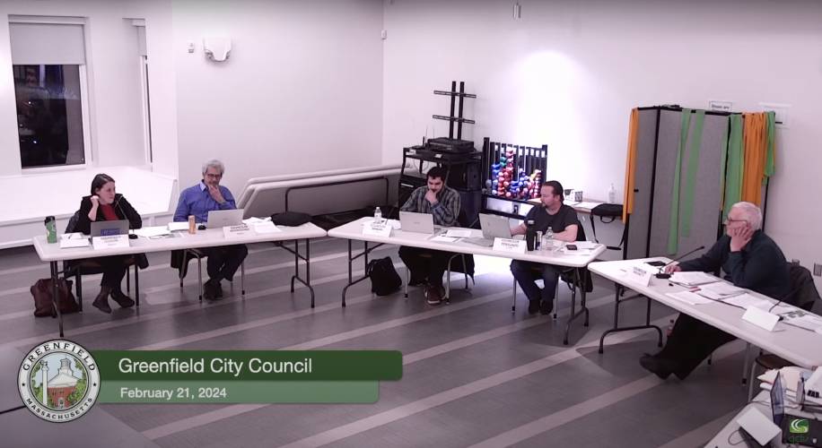 City Councilors Rachel Gordon, Michael Mastrototaro, Wahab Minhas, Michael Terounzo and William 