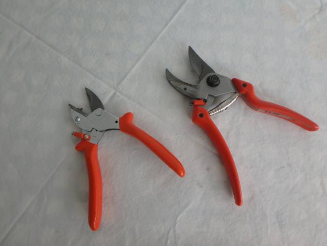 Felco Pruners (right) come in various sizes.