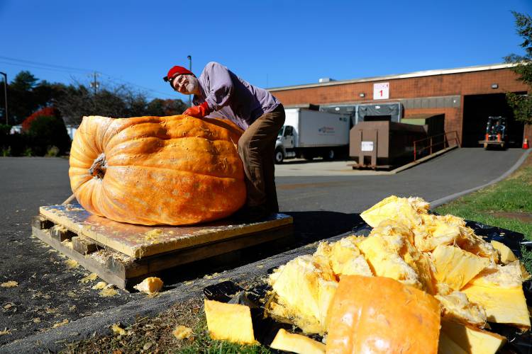 ABOVE and BELOW: Florence resident Dave Rothstein hollows out a giant pumpkin at Adhesive Applications, where the pumpkin was weighed, Friday afternoon in Easthampton. Rothstein hopes to paddle the pumpkin down the Connecticut River in a world record attempt.