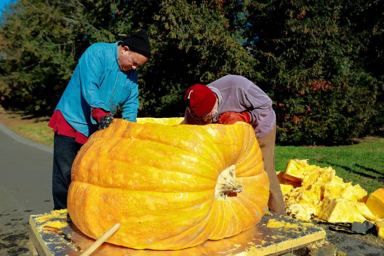 Florence resident Dave Rothstein hallows out a giant pumpkin with the assistance of Joe Sasen at Adhesive Applications, where the pumpkin was weighed, Friday afternoon in Easthampton. Rothstein hopes to paddle the pumpkin down the Connecticut River in a world record attempt.