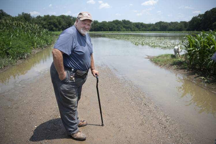 Billy McKinstry stands by a flooded field off Aqua Vitae Road in Hadley on July 12, near his own fields in the Honey Pot Road area.