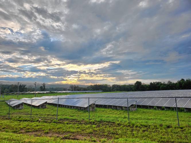 A field of solar panels off Daniel Shays Highway (Route 202) in Orange.