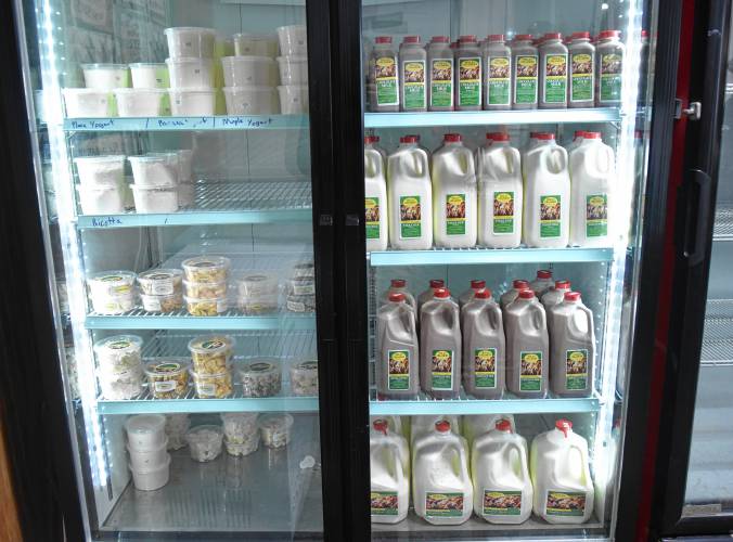 Dairy products including milks, yogurts and cheeses at the Peila’s Creamery farm store at Sunrise Valley Farm in Gill. 